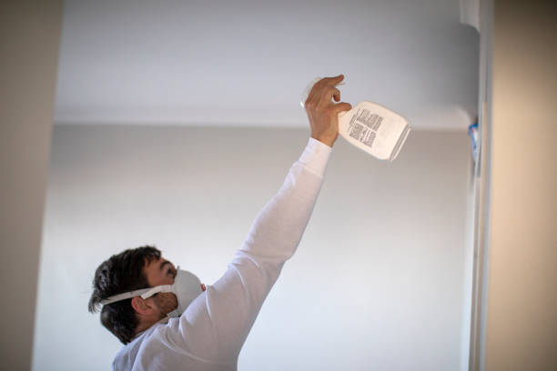 Best Mold Inspection  in Marlboro, NY