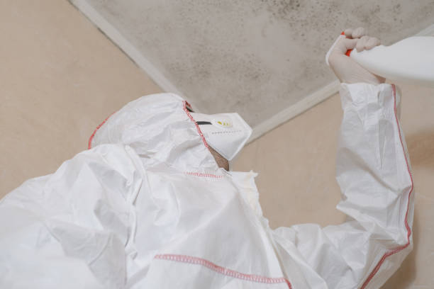 Office Mold Removal Services in Marlboro, NY