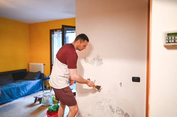 Best Attic Mold Removal  in Marlboro, NY